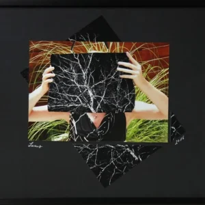 Letzte Chance Surrealistische Collage, F. Lorenz: "Sophie II"