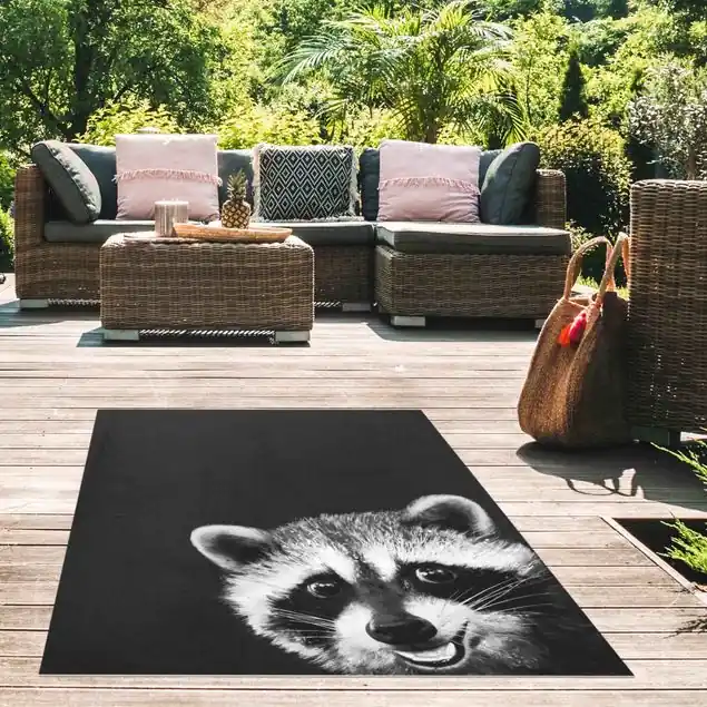Zertifiziert Illustration Waschbär Schwarz Weiß Malerei
