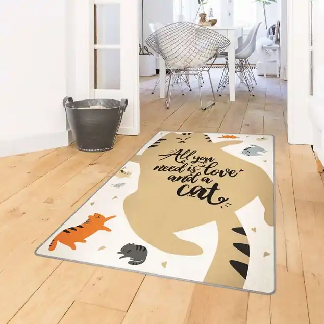 All you need is love and a cat Katzenbauch Angebot