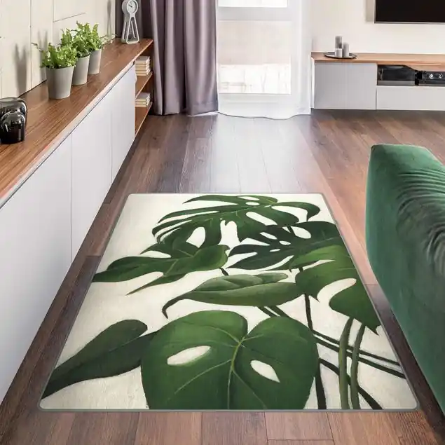 Aktuell Lieblingspflanzen - Monstera