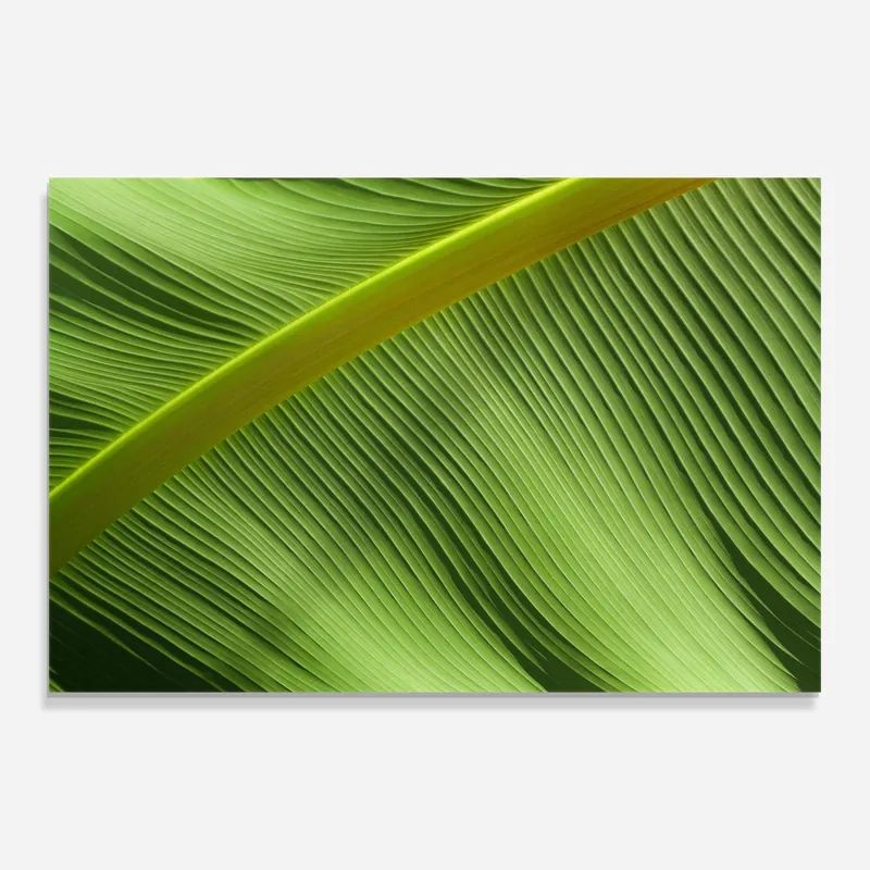 Gratis Versand Glasbild Leaf Green Close Up