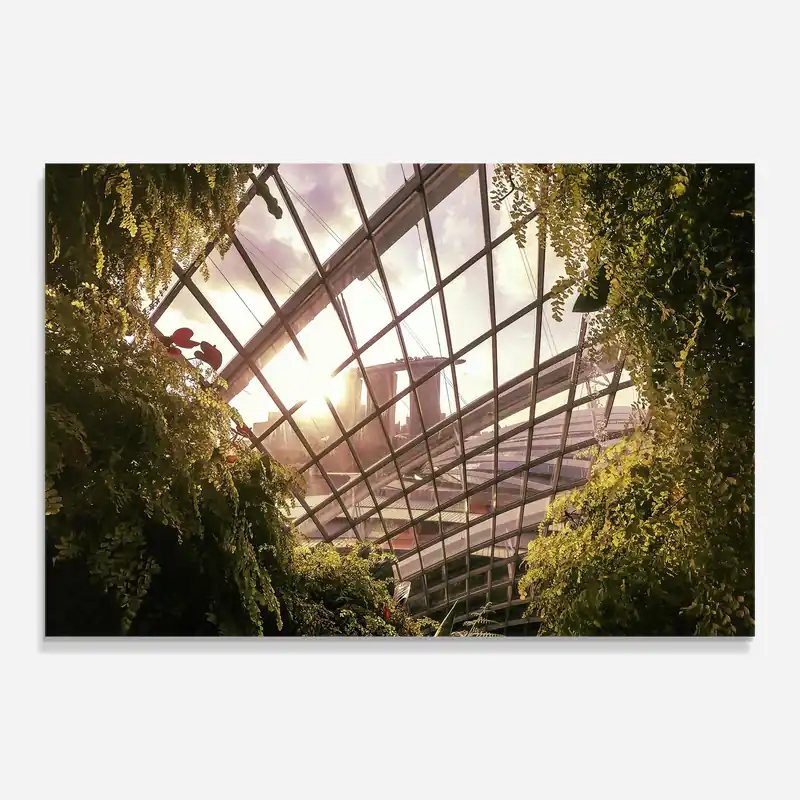 Glasbild Cloud Forest Super-Preis
