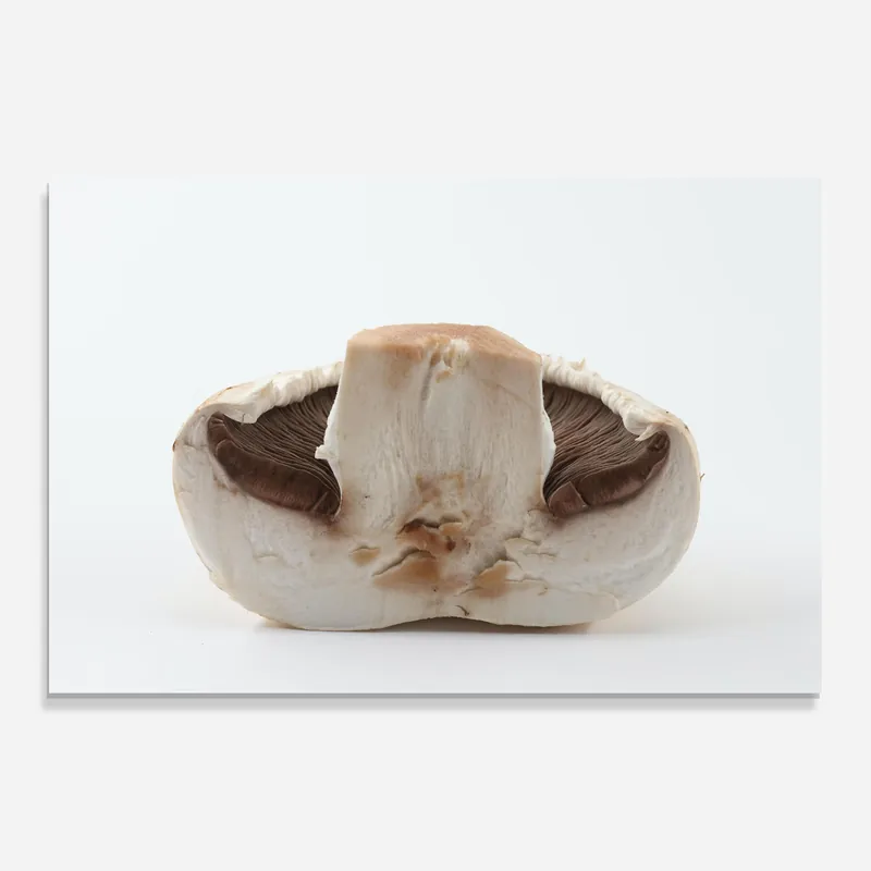 Bestpreis Glasbild Cut Mushroom