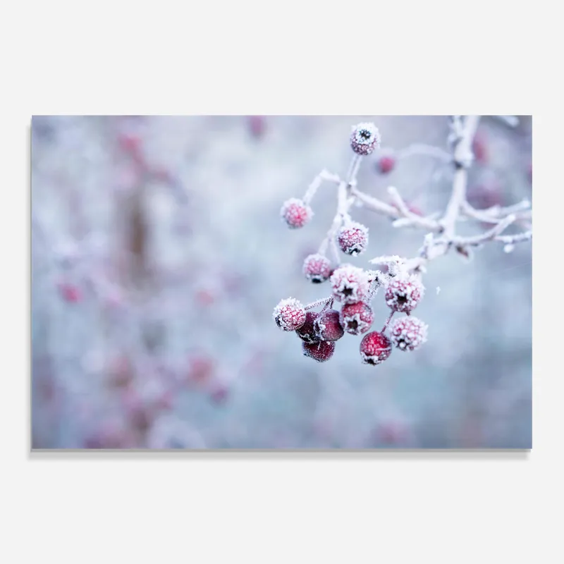 Zertifiziert Glasbild Red Winter Fruits