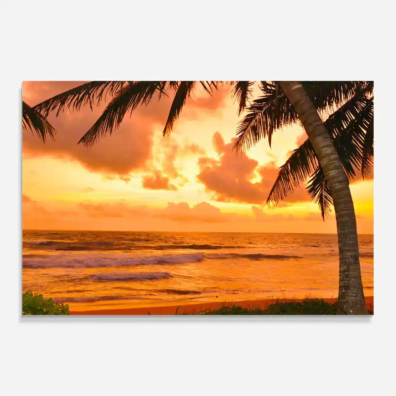 Glasbild Orange Sunset Nur Für Kurze Zeit