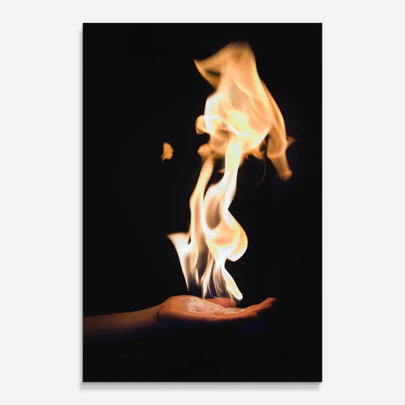 Abverkauf Glasbild Fire Palm
