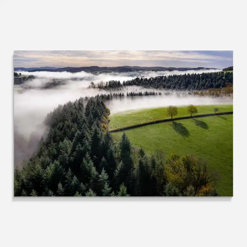 Angebot Glasbild Trees Cloudy Sky