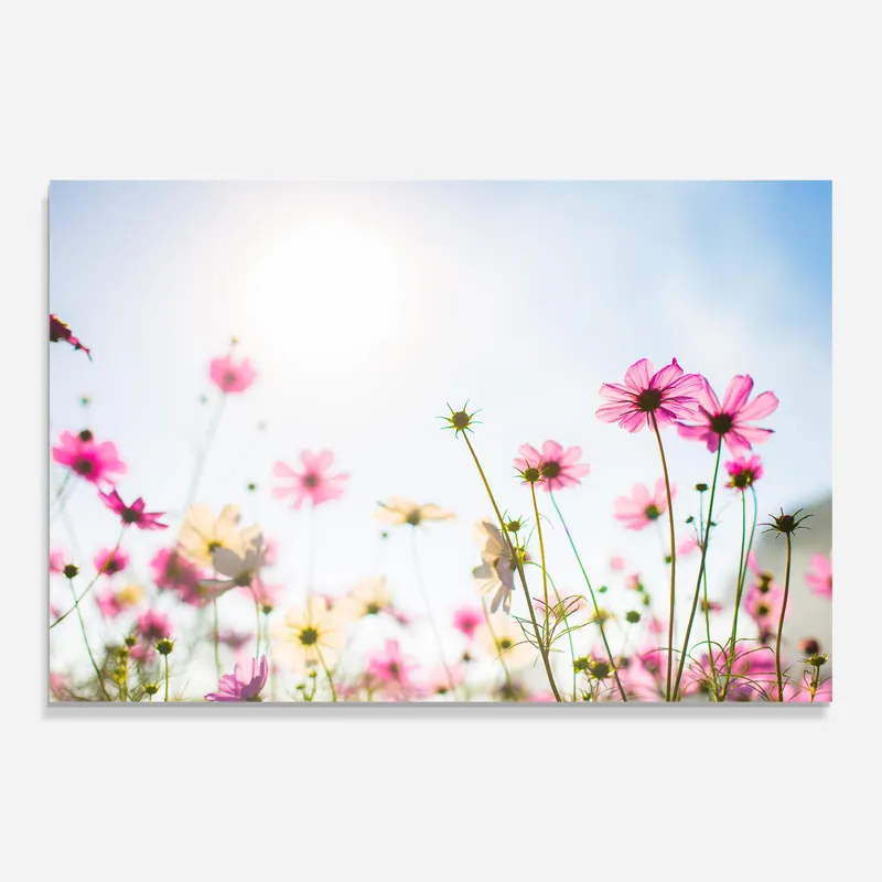 Markenprodukt Glasbild Sweet Pink Flowers