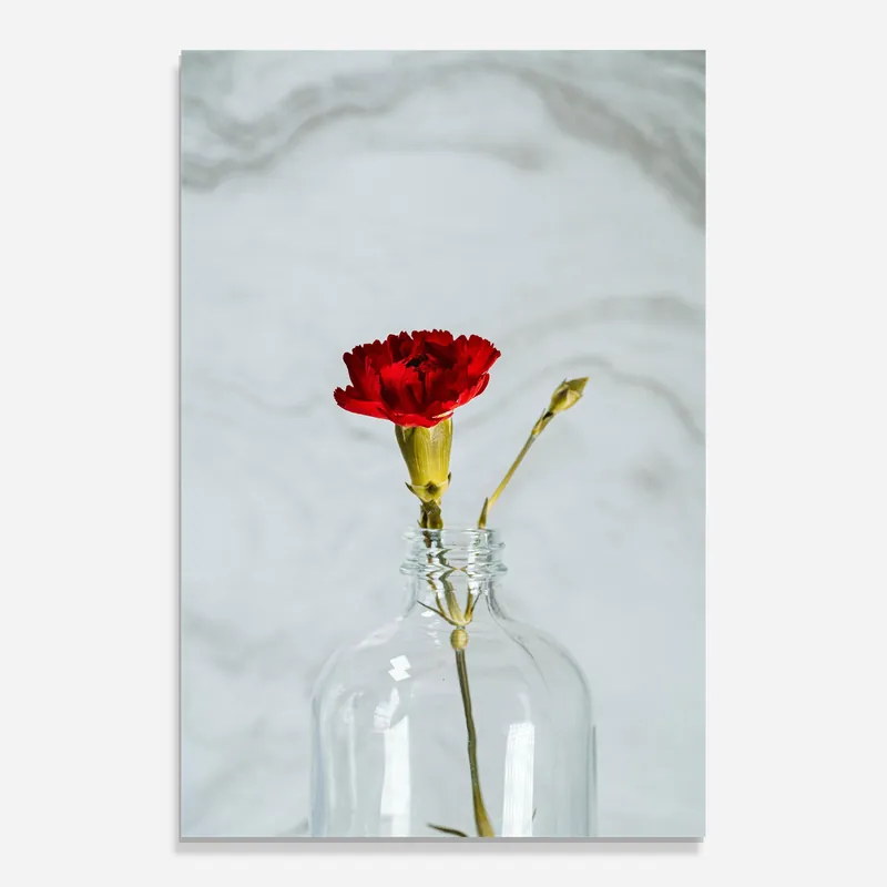 Direkt Vom Hersteller Glasbild Red Flower Vase