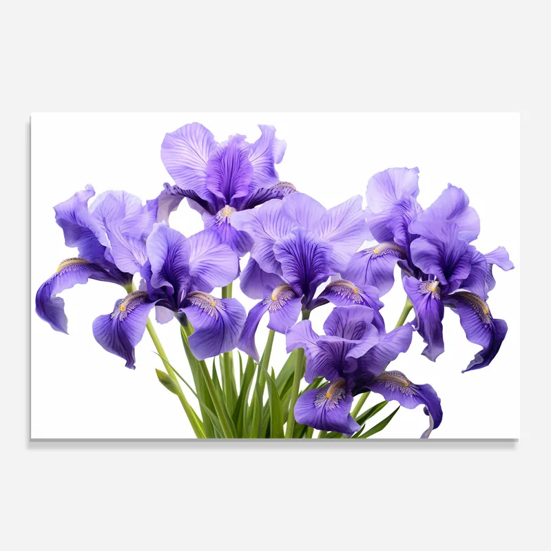 Glasbild Purple Vase Kostenloser Versand