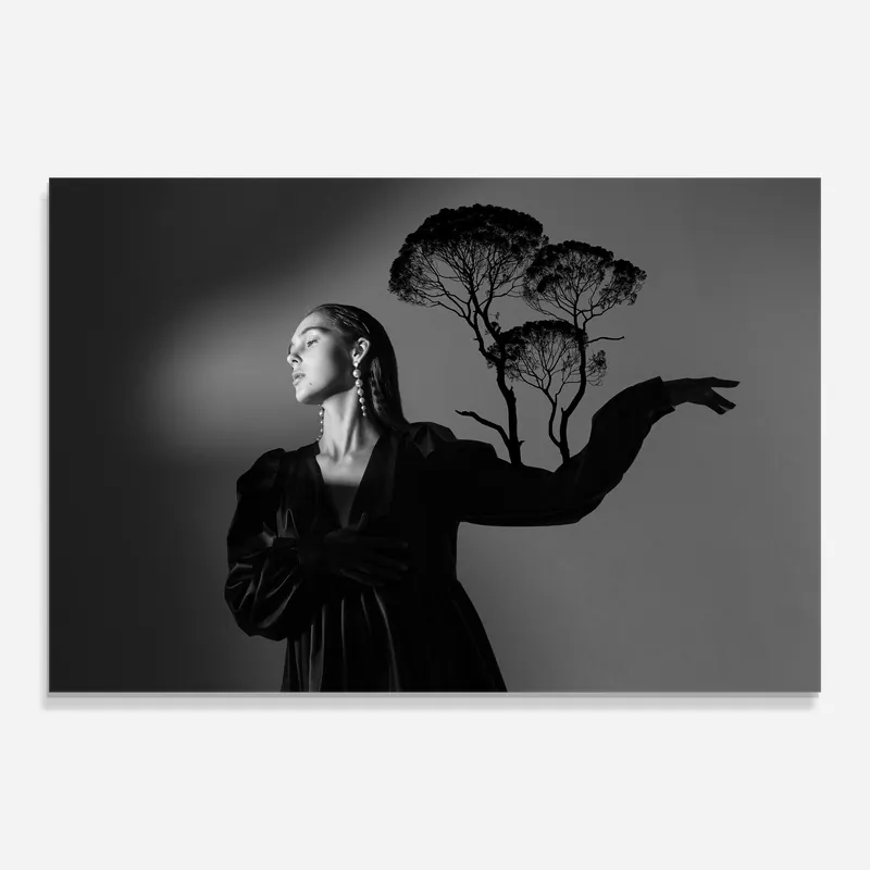 Preisreduziert Glasbild Trees Shadow