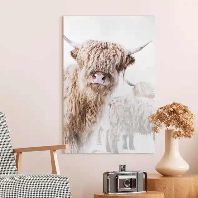 Sichere Zahlung Hochlandrind Karlo Leinwandbild – Canvas