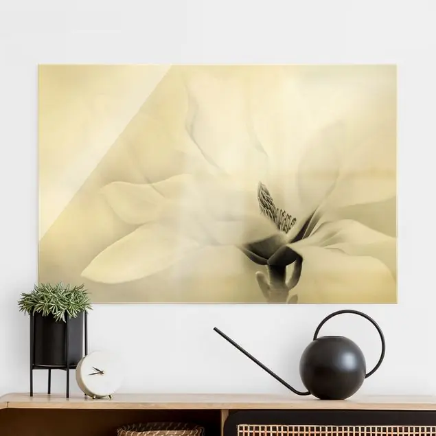 Zarte Magnolienblüte Schwarz-Weiß                               Glasbild Sofort Bestellen