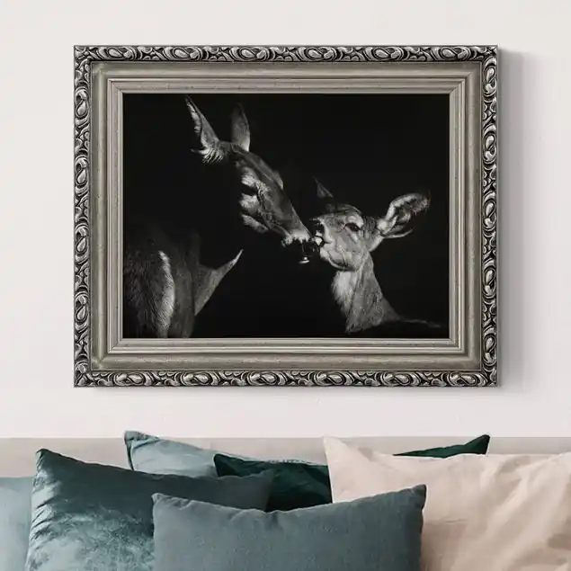 Rehe vor Schwarz Gerahmtes Leinwandbild Must-Have