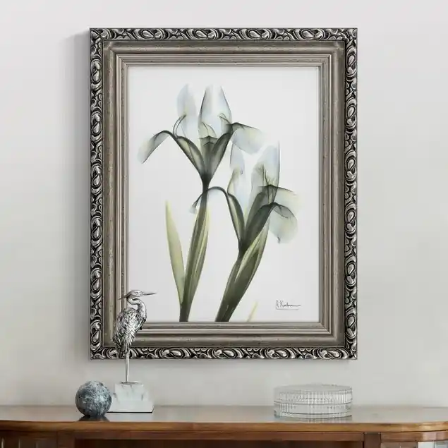 X-Ray - Schwertlilie                               Gerahmtes Leinwandbild Saisonangebot