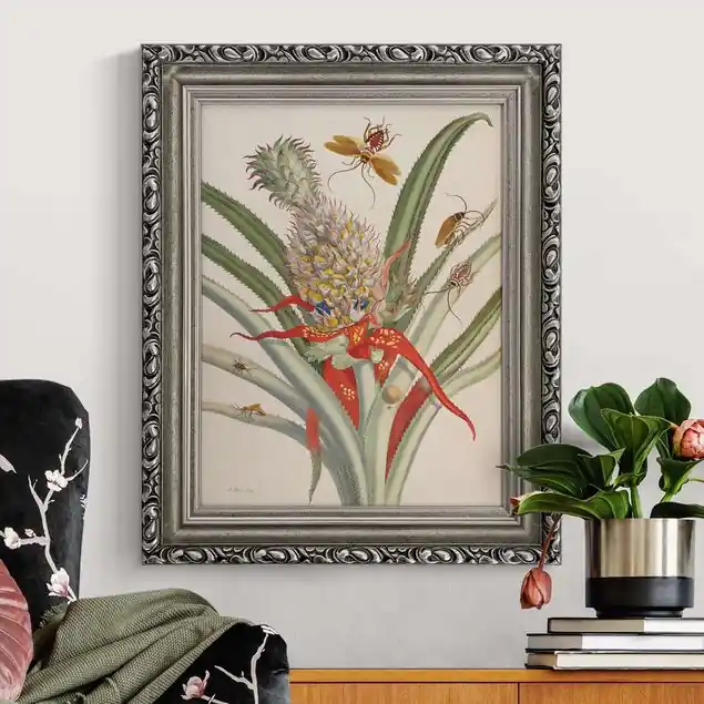 Aktuell Anna Maria Sibylla Merian - Ananas mit Insekten                               Gerahmtes Leinwandbild