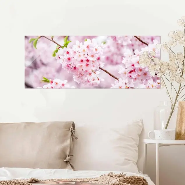 Aktuell Japanische Kirschblüten                               Glasbild