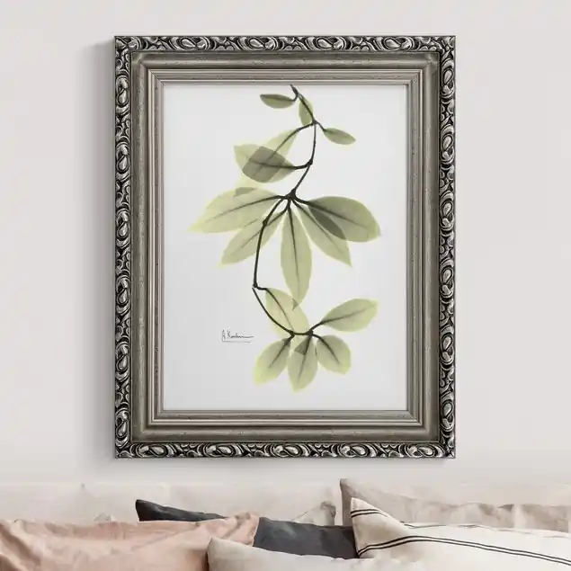 X-Ray - Porzellanblumenblätter                               Gerahmtes Leinwandbild Preis Gesenkt