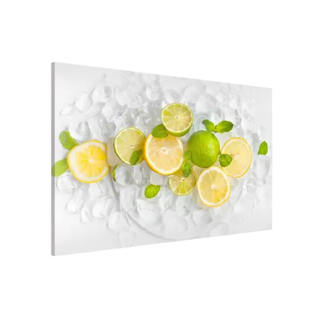 Zitrusfrüchte auf Eiswürfel Magnettafel - Querformat 3:2 Top-Preis