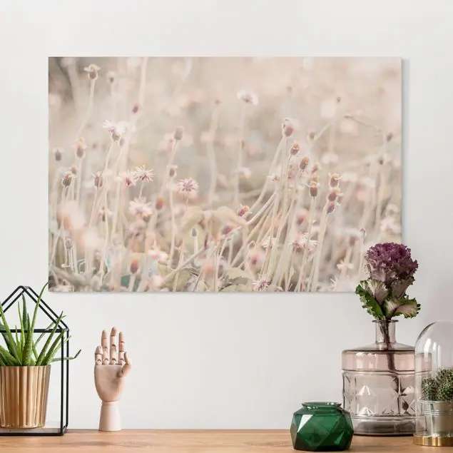 Abverkauf Strahlende Blumenwiese Leinwandbild – Canvas