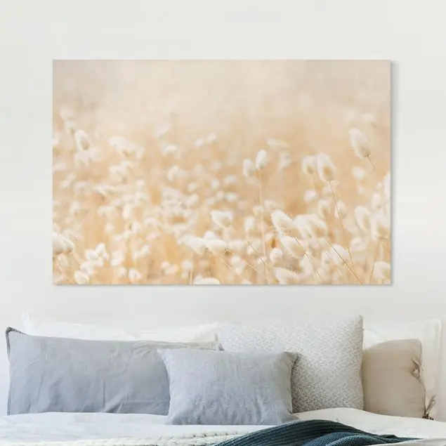 Zarte Gräser Leinwandbild – Canvas Nur Für Kurze Zeit