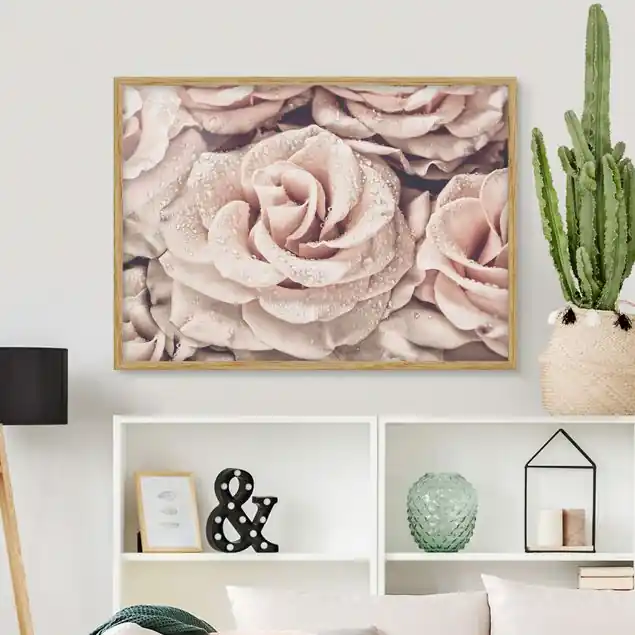 Wochenendangebot Rosen Sepia mit Wassertropfen                               Bild mit Rahmen - Querformat