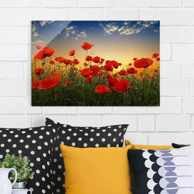 Wochenendangebot Mohnblumenfeld im Sonnenuntergang                               Glasbild - Querformat