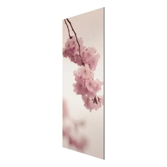 Saisonangebot Zartrosane Frühlingsblüte mit Bokeh Alu-Dibond Bild