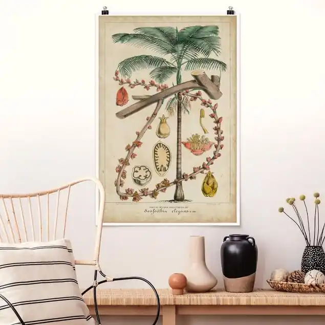Vintage Lehrtafel Exotische palmen II Poster Neue Ware