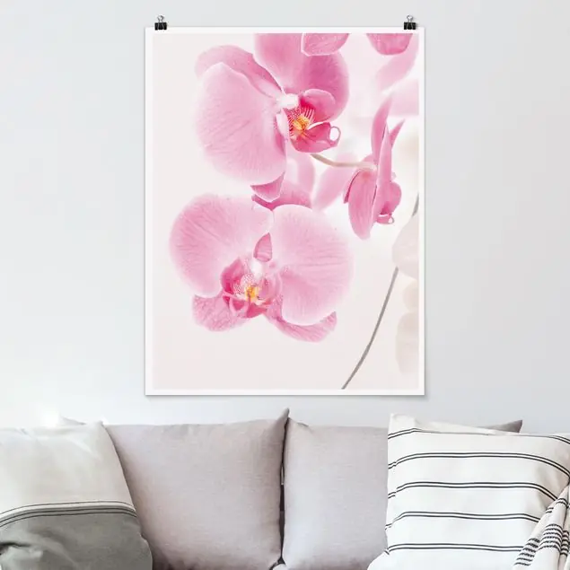 Delicate Orchids Poster - Hochformat Nur Für Kurze Zeit