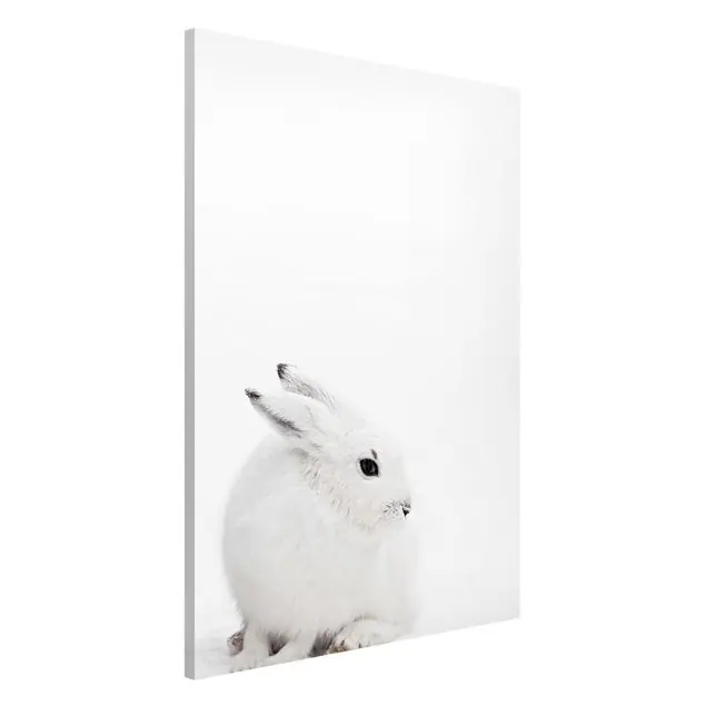 Ausverkauf Arktischer Hase Magnettafel
