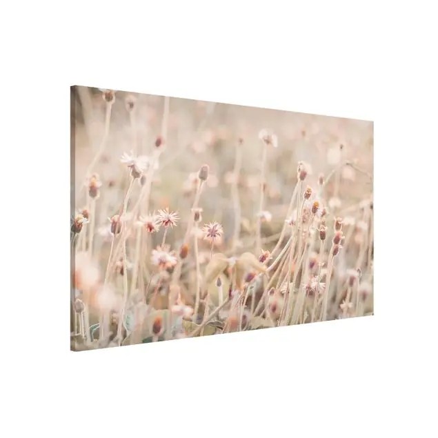 Nur Heute Strahlende Blumenwiese Magnettafel
