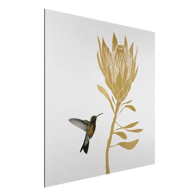 Kolibri und tropische goldene Blüte Alu-Dibond Bild Kostenfreie Lieferung