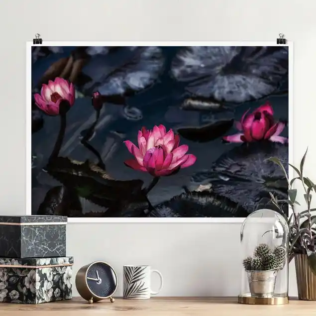 Heißes Angebot Wasserlilien Poster