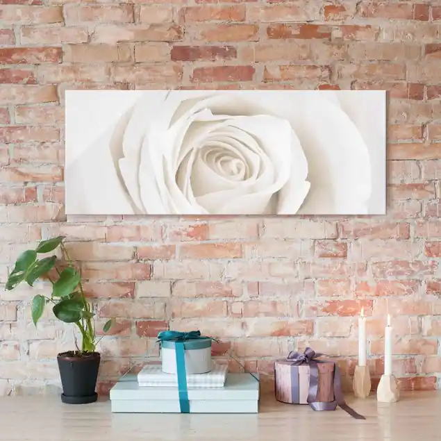 Direktkauf Pretty White Rose Glasbild - Panorama