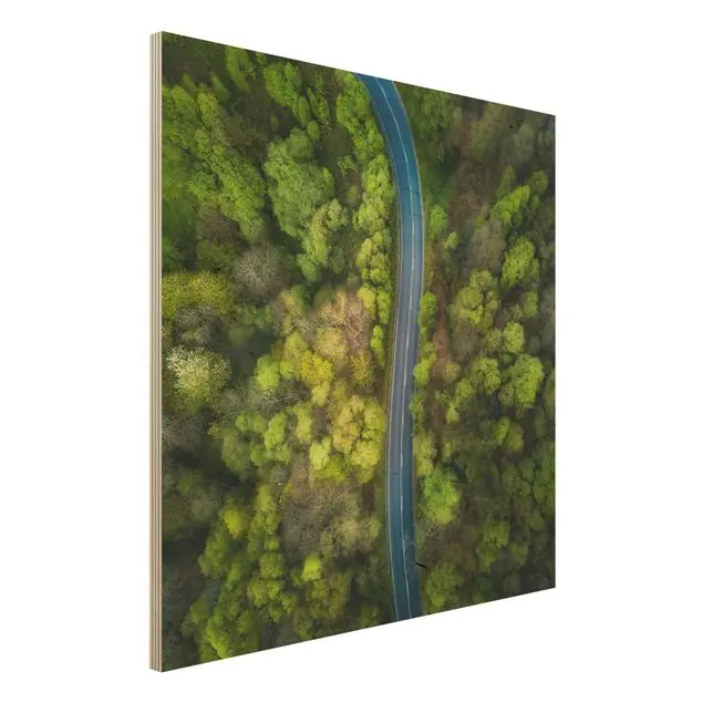 Luftbild - Asphaltstraße im Wald Holzbild - Quadrat Knallerangebot