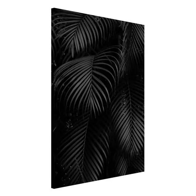 Abverkauf Schwarze Palmwedel Magnettafel
