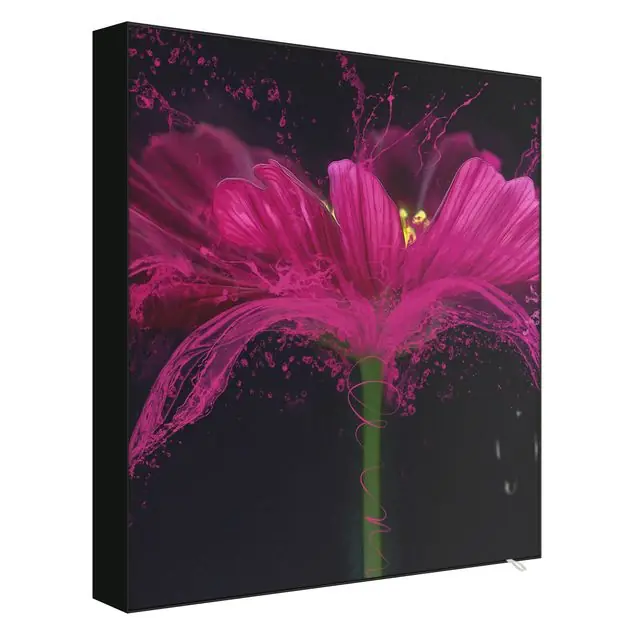 Aktuell Neonpinke Blüte Wechselbild