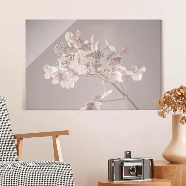 Zarte weiße Hortensie                               Glasbild Günstig