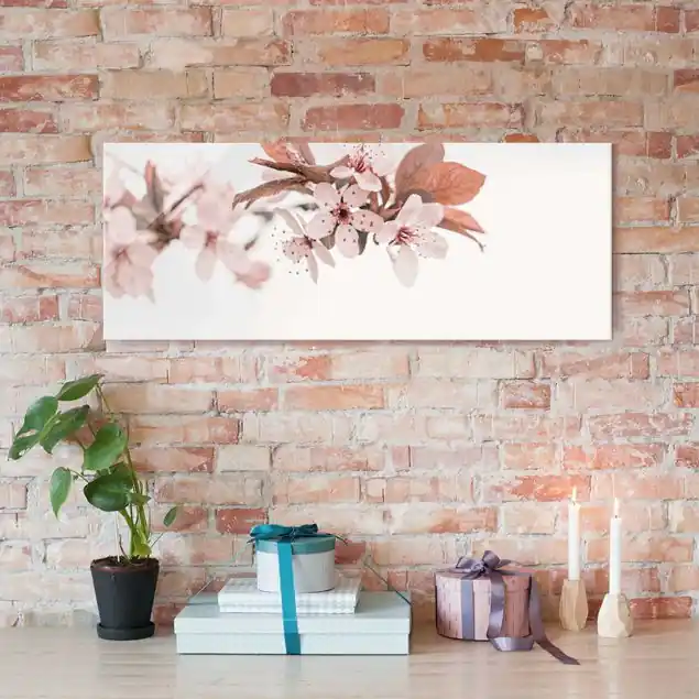 Zarte Kirschblüten am Zweig                               Glasbild Kostenloser Versand
