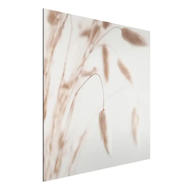 Zartes Glanzgras                               Alu-Dibond Bild Bestseller
