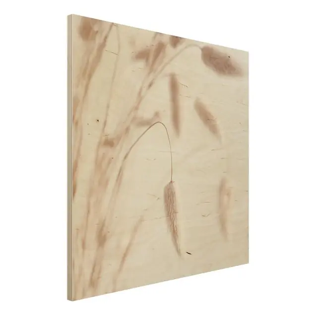 Zartes Glanzgras                               Holzbild Gratis Versand