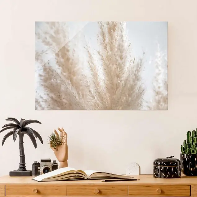 Zartes Pampasgras Close Up                               Glasbild Preis Gesenkt