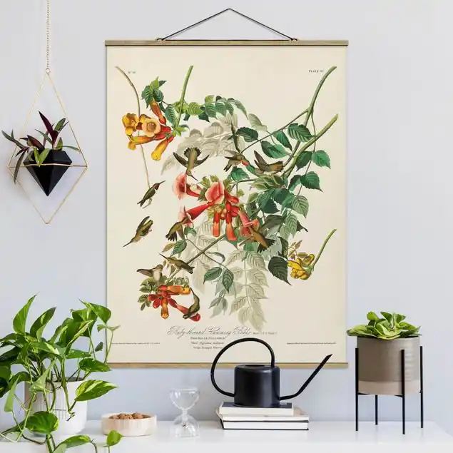 Zertifiziert Vintage Lehrtafel Rubinkehlkolibris Stoffbild - Hochformat