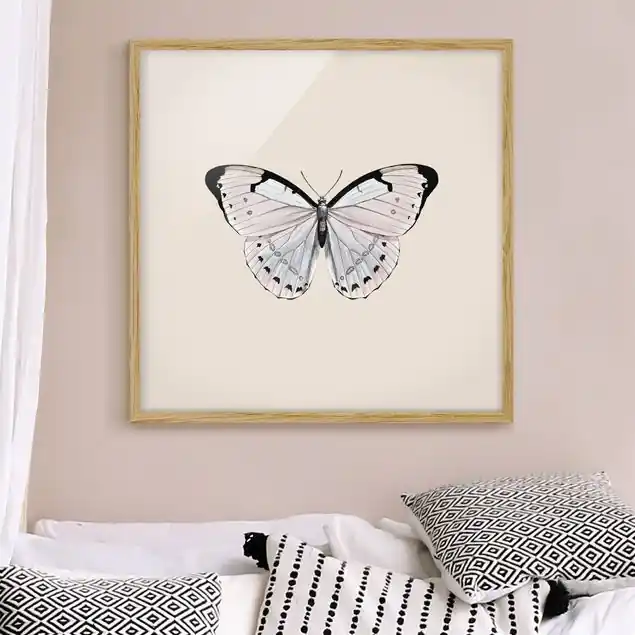 Aktuell Schmetterling auf Beige Bild mit Rahmen