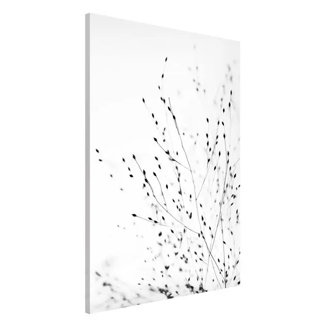 Zarte Gräser im Schatten Magnettafel Sonderangebot