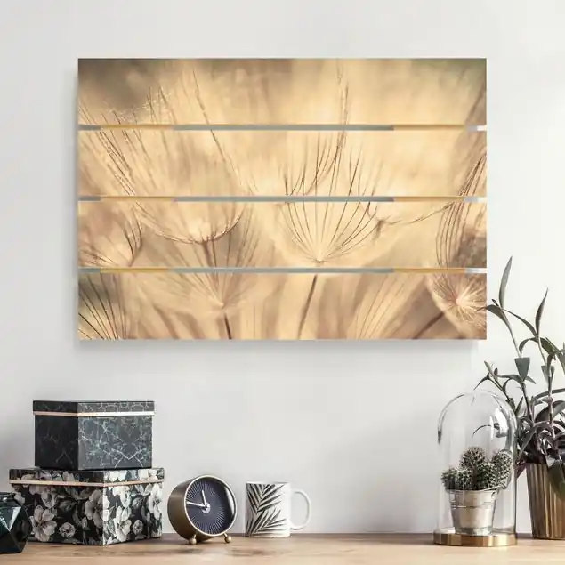 Pusteblumen Nahaufnahme in wohnlicher Sepia Tönung Holzbild Plankenoptik - Querformat Abverkauf