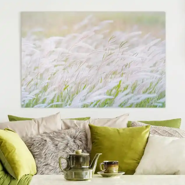 Expressversand Weiche Gräser Leinwandbild – Canvas