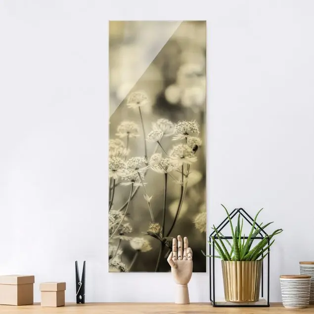 Abverkauf Federleichte Wildblumen II Glasbild