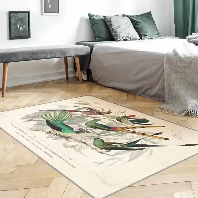 Versand Am Gleichen Tag Kolibri-Diagramm Teppich